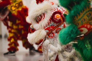 Lion dancers in vibrant red, white, and green costumes performing during a Lunar New Year celebration